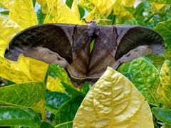 03_IMG_20250916_062026946