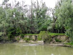 01_DSCN2478ab