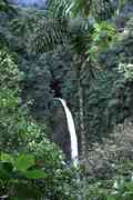 Wasserfall am Arenal